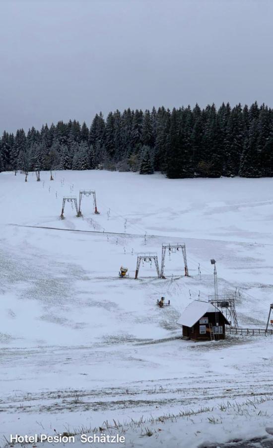 Hotel-Pension Schaetzle Schonwald  Екстериор снимка